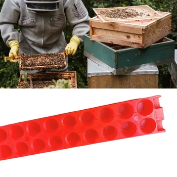 46PCS Méh Királynő Ketrecbe Közlekedési Doboz Jogosultja Szabadtéri méhkirálynő Nevelő Eszköz Méhész Kellékek Méhészeti Felszerelések Kaptár Eszköz